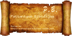 Pattantyus Bibiána névjegykártya
